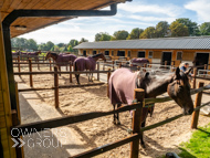 WG061023-39 - Warren Greatrex stable vist